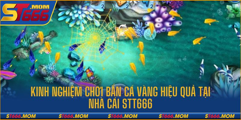 Những kinh nghiệm chơi bắn cá vàng hiệu quả tại ST666