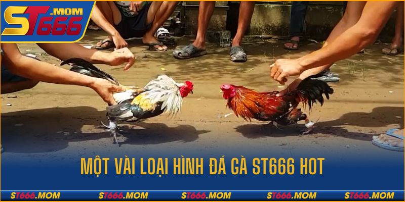Đá gà cựa sắt - ra đòn cực hiểm và hạ gục đối thủ nhanh chóng