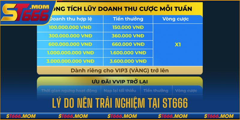 Các lý do khiến bạn nên trải nghiệm tại đây